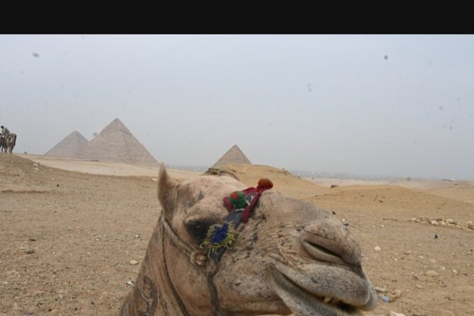 Full day Giza pyramids ,camel ride, Mummies museum and bazar - The Great Sphinx and Valley Temple