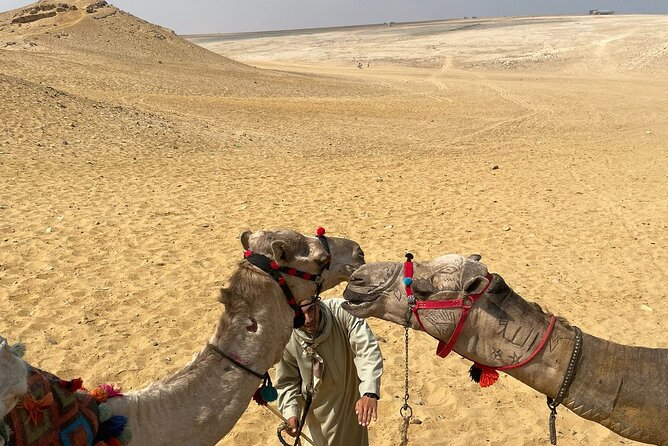 Full Day Private Guided Tours to Pyramids & Sphinx - Families, pace, and practical comfort