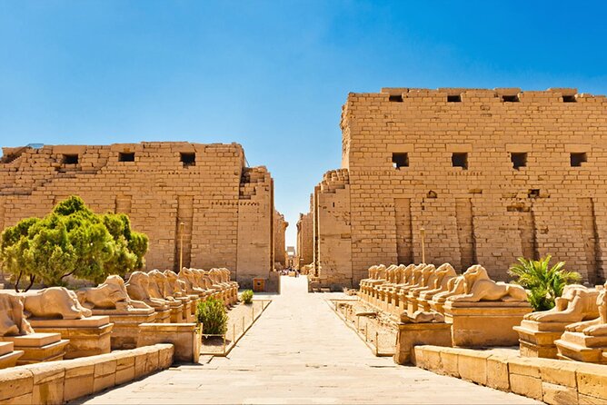 Full Day Tour to East and West Banks of Luxor - Guide, driver, and pickup details