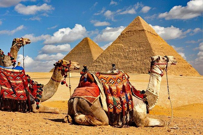 Full Day Tour to Pyramids of Giza, Saqqara Step Pyramids & Sound and Light Show - Meeting the Sphinx in its quietest role