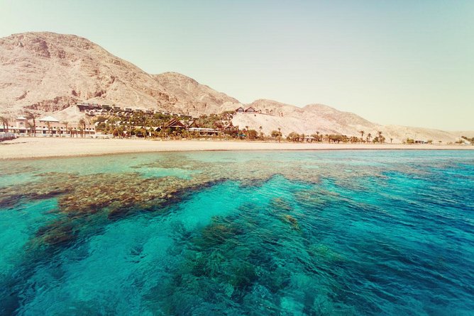 Full Relaxing Day To The Red Sea From Cairo Or Giza Hotel - How much time do you really get?