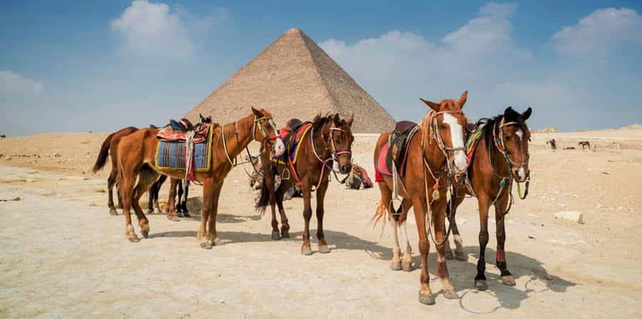 Giza: Arabian Horse Tour Around the Giza Pyramids - Should you book the Arabian horse tour?