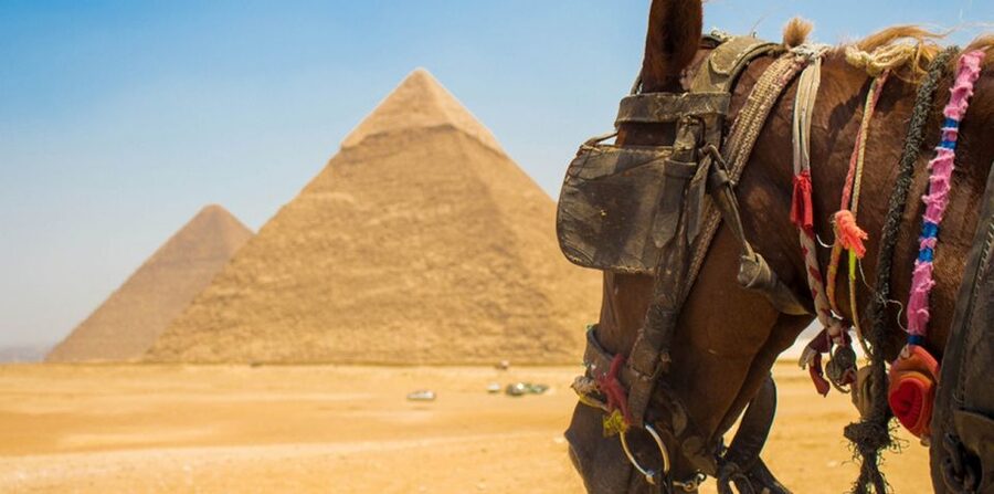 Giza: Arabian Horse Tour Around the Giza Pyramids - Who will enjoy this Giza horse tour?