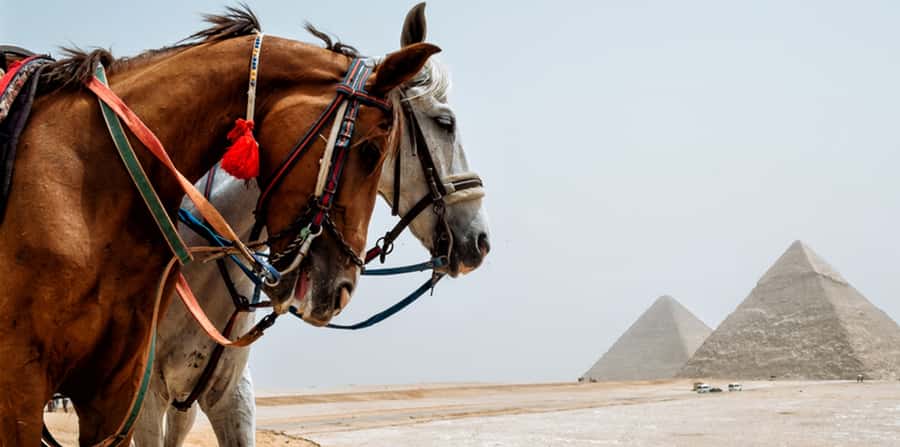 Giza: Arabian Horse Tour Around the Giza Pyramids - Practical preparation for the desert