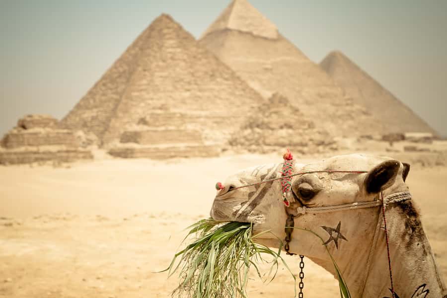 Giza Pyramids and Sphinx: Half-Day Private or Group Tour - Private or group: which format fits you?