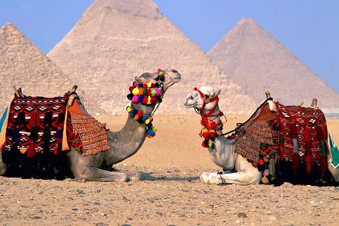 Giza Pyramids, Sphinx, Memphis, Saqqara, with private tour guide - How the private guide affects the day