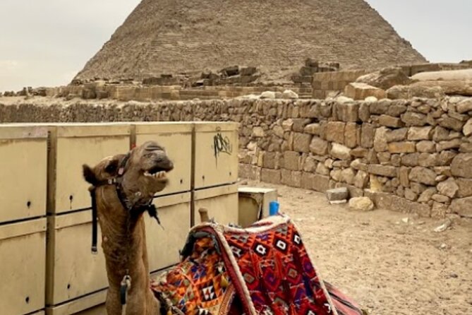 Giza Pyramids, The Egyptian Museum And Cairo Citadel-Mohamed Ali Mosque- Private - Exploring 5,000 years at the Egyptian Museum