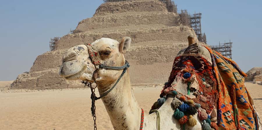 Giza: Sakkara, Memphis & Dahshur (Pyramid & Felucca Options) - What the guides add to the day