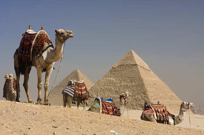 Grand Egyptian Museum All Inclusive Tour - The Grand Hall and the museum’s first impression