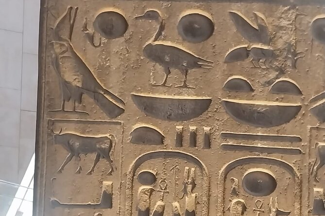 Grand Egyptian Museum, Grand staircase, New Galleries, and lunch. - Lunch with koshary, falafel, or shawarma