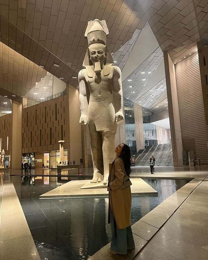 Grand Egyptian Museum Private Guided Tour(GEM) - Guide languages and the audio backup