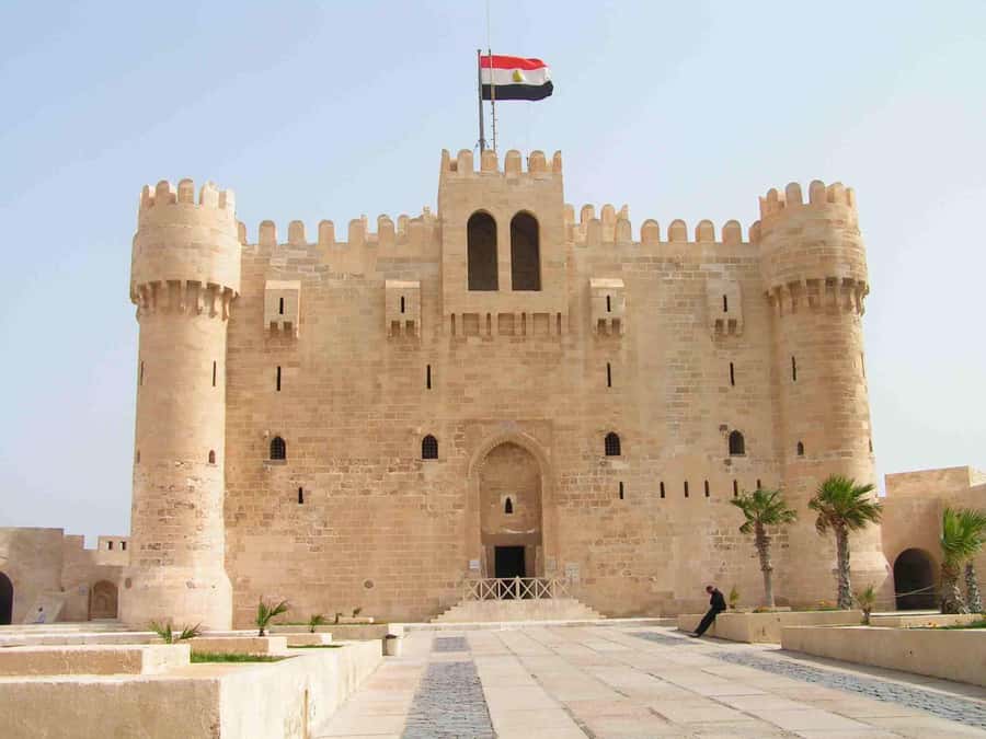 Group Tour top Things To Do In Alexandria From Cairo - Guides can shape the whole day