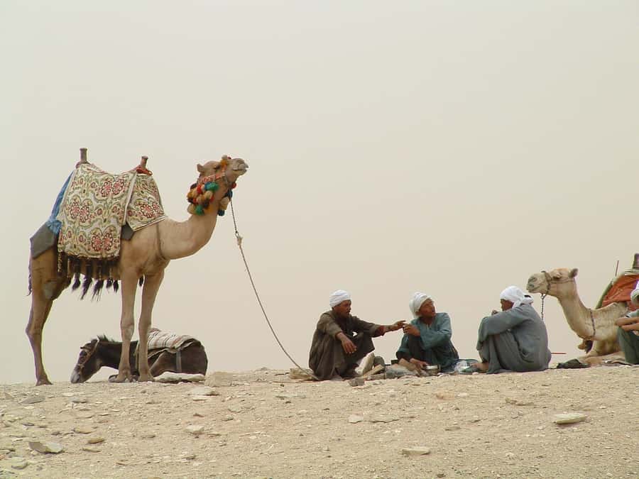 Half-Day Cairo Sightseeing Tour to Pyramids of Giza & Sphinx - Why this short Giza tour works