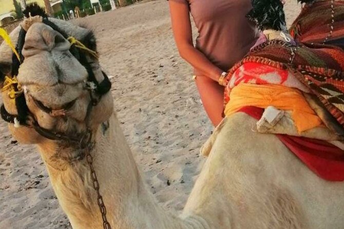 Half Day Quad Bike Adventure and Camel Ride in Beduion Camp - What happens at the quad station