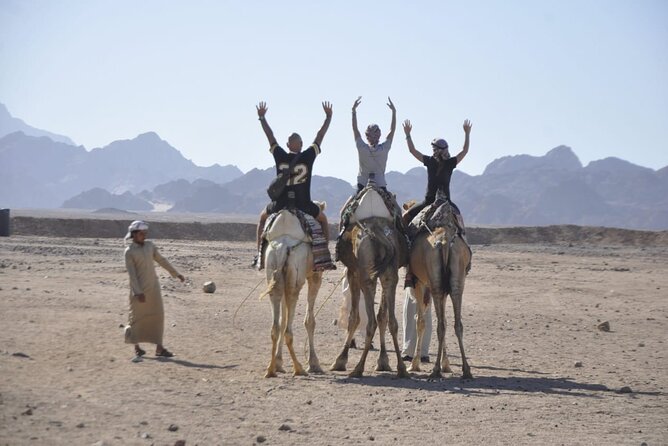 Half Day Quad Bike Adventure and Camel Ride in Beduion Camp - How the guides shape the experience