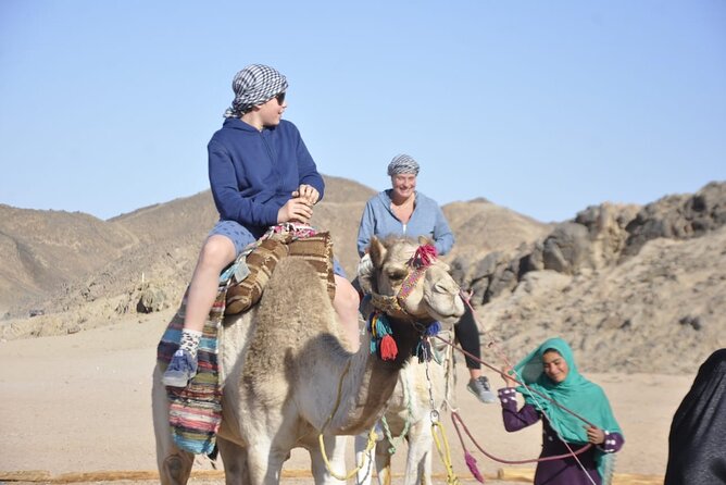 Half Day Quad Bike Adventure and Camel Ride in Beduion Camp - Timing, pickup, and cancellation details