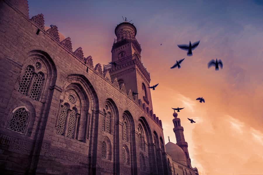 Half Day Tour: El Moez Street, Al Azhar Park and Bazar - Walking El Moez Street for 90 minutes