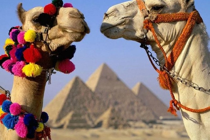 Half Day Tour to Giza Pyramids & Sphinx - Why This Half-Day Giza Tour Works