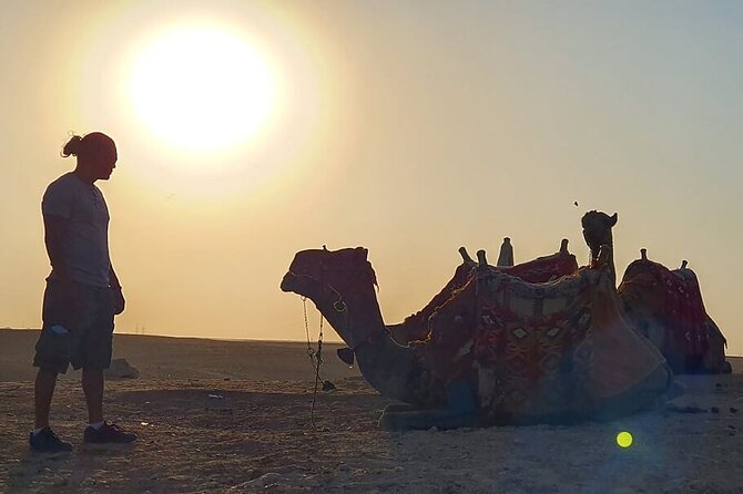 Half-day Trip to Pyramids and the Sphinx with Camel ride - A 25-minute camel ride with photo help