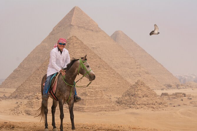Horse or Camel Ride in Giza Pyramids - Is $90 a fair price?