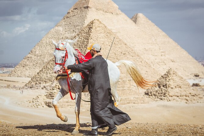 Horse or Camel Ride in Giza Pyramids - What happens at the stable before you ride