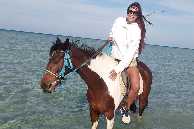 Horse Riding on the Beach And Desert 3 hours From Hurghada - From Hurghada hotel to desert stable