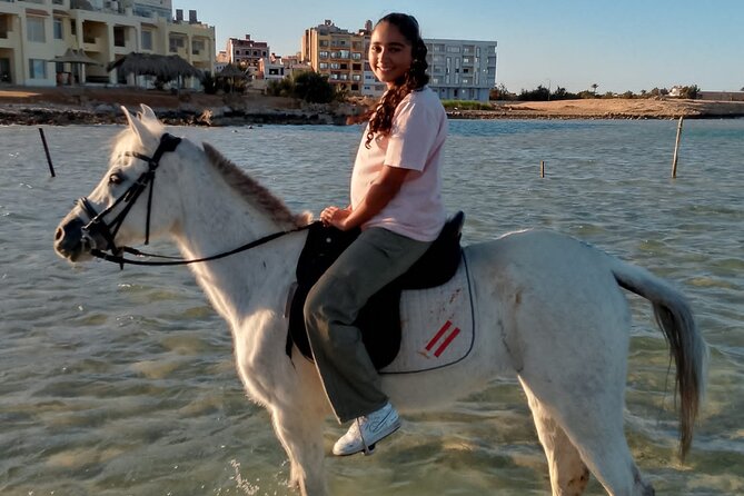 Horse Riding on the Beach And Desert 3 hours From Hurghada - Reaching the Red Sea on horseback