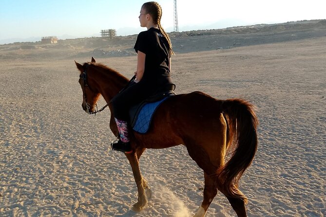 Horse Riding on the Beach And Desert 3 hours From Hurghada - What the $23 price really gives you