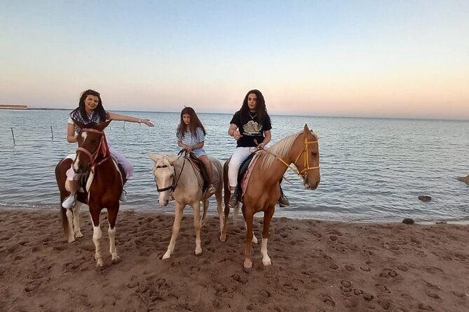 Horse Riding on the Beach And Desert 3 hours From Hurghada - Who will enjoy this ride most