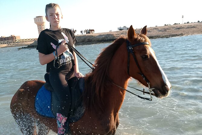 Horse Riding on the Beach And Desert 3 hours From Hurghada - Timing, language, and comfort details