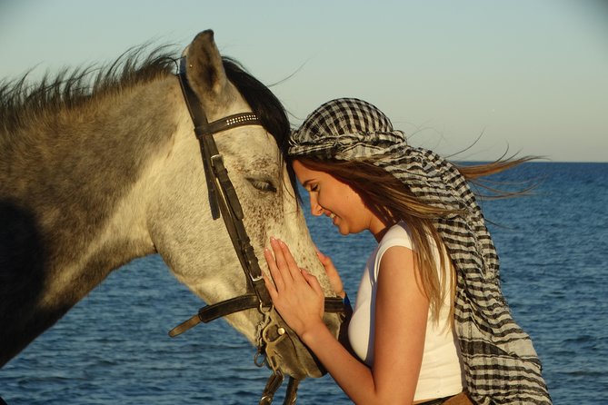 Horse Riding Tour 2 Hours on Sea And Desert & Transfer -Hurghada - The Beach and Red Sea Water Stop