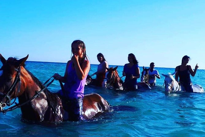 Horse Riding Tour 2 Hours on Sea And Desert & Transfer -Hurghada - Safety, Comfort, and the Horse Welfare Question