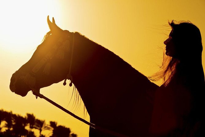Horse Riding Tour 2 Hours on Sea And Desert & Transfer -Hurghada - Family Suitability and Group Size