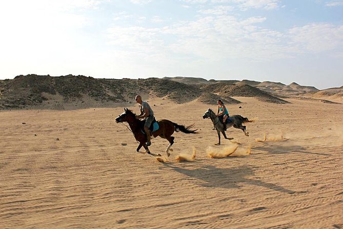 Horse Riding Tour 2 Hours on Sea And Desert & Transfer -Hurghada - Is $14 Good Value for This Hurghada Excursion?