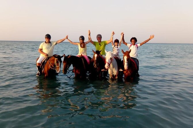 Horse Riding Tour 2 Hours on Sea And Desert & Transfer -Hurghada - The Desert Hour: Open Space and a Faster Pace