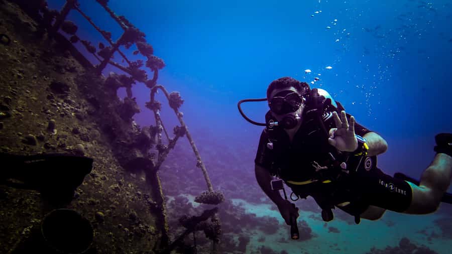 Hurghada: 1, 2, 3, 4, or, 5-Day Scuba Diving Package - The return to Hurghada