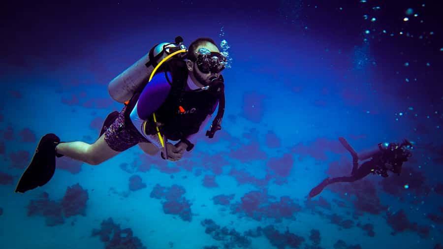 Hurghada: 1, 2, 3, 4, or, 5-Day Scuba Diving Package - A Red Sea day that starts before the boat