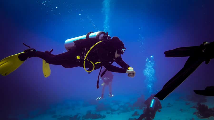 Hurghada: 1, 2, 3, 4, or, 5-Day Scuba Diving Package - Two reef sessions, with time to look around