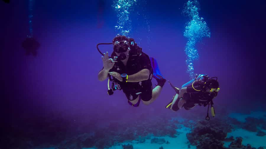 Hurghada: 1, 2, 3, 4, or, 5-Day Scuba Diving Package - Choosing one day or five