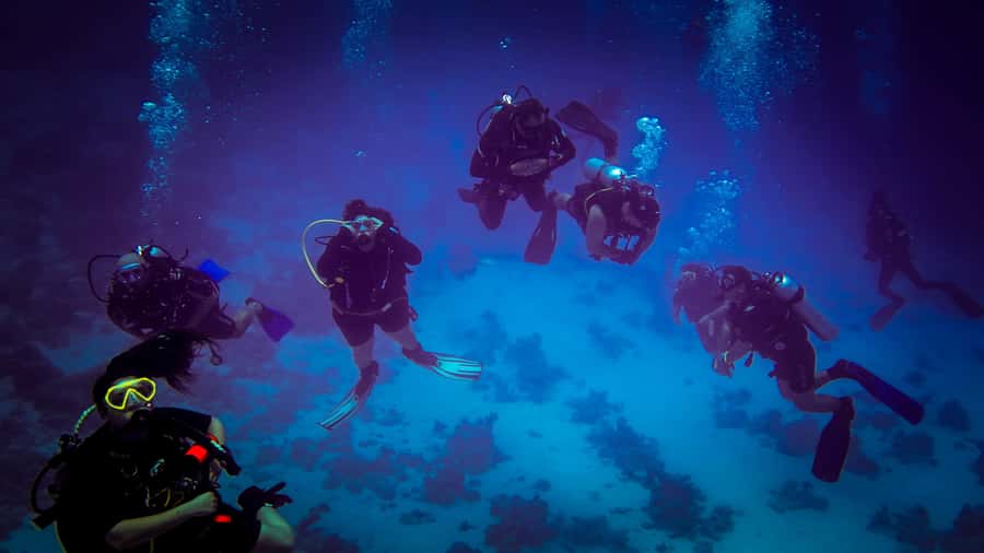 Hurghada: 1, 2, 3, 4, or, 5-Day Scuba Diving Package - What the strongest service looks like
