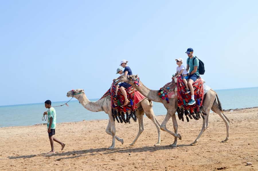 Hurghada: 1-Hour Desert & Beach Camel Ride with Transfers - Key points before you book