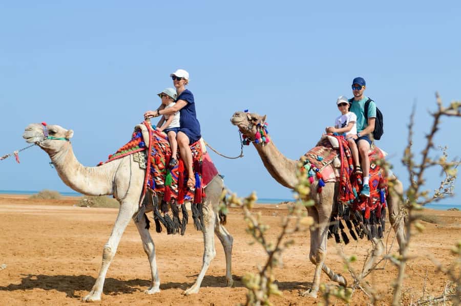 Hurghada: 1-Hour Desert & Beach Camel Ride with Transfers - From Hurghada hotels to Lucky Horses Stable