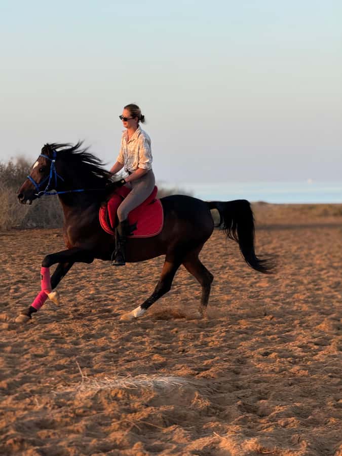 Hurghada: 1-Hour Desert & Beach Camel Ride with Transfers - Across the golden desert