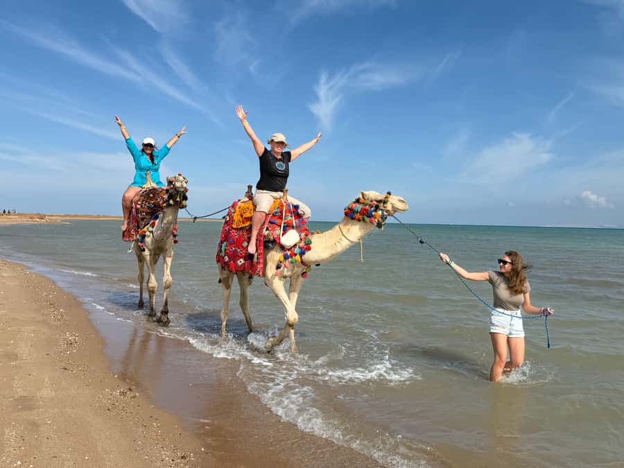Hurghada: 1-Hour Desert & Beach Camel Ride with Transfers - The guides, photos, and pace
