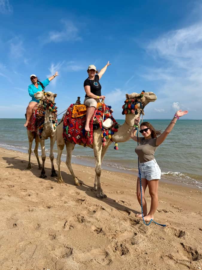 Hurghada: 1-Hour Desert & Beach Camel Ride with Transfers - Meeting the animals at Lucky Horses Stable