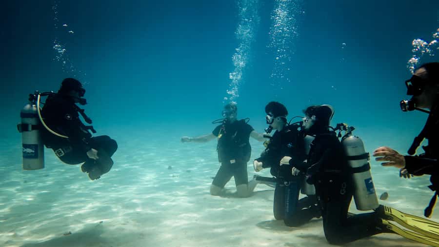 Hurghada: 3-Day PADI Open Water Diving Course - Day two: repetition, buoyancy, and reef confidence