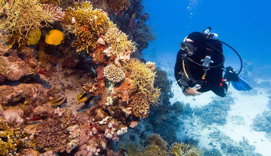 Hurghada: 3-Day PADI Open Water Diving Course - Hotel pickup is useful, but confirm the details