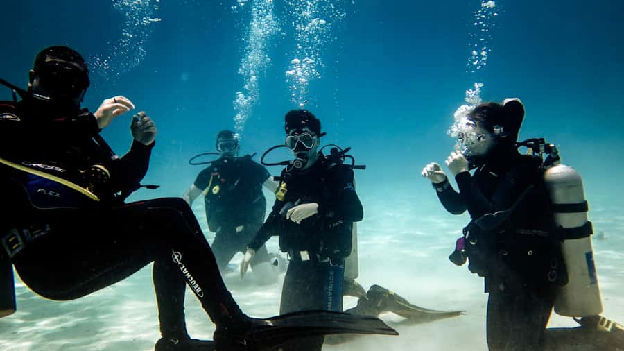 Hurghada: 3-Day PADI Open Water Diving Course - Day one: equipment, theory, and the first underwater skills