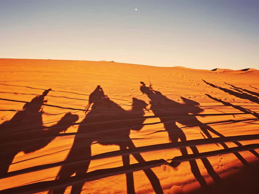 Hurghada: 6-Hour Jeep Desert Safari, Dinner, and Show - Quad bikes and spider buggies: confirm what your booking includes