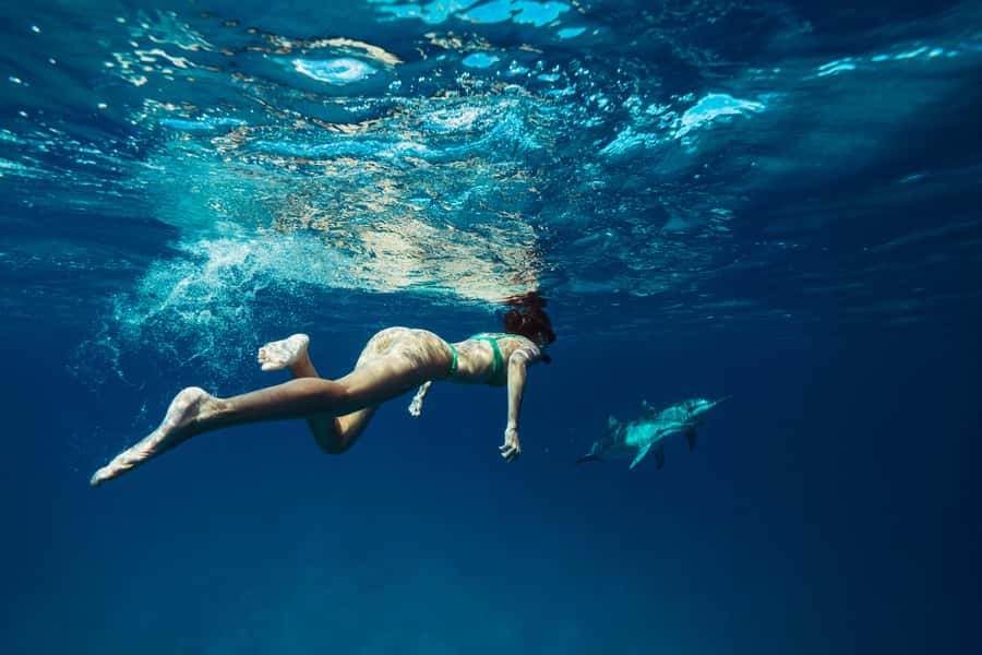 Hurghada: All-Inclusive Elite VIP Dolphin House & Massage - Why the wild dolphin encounter comes first